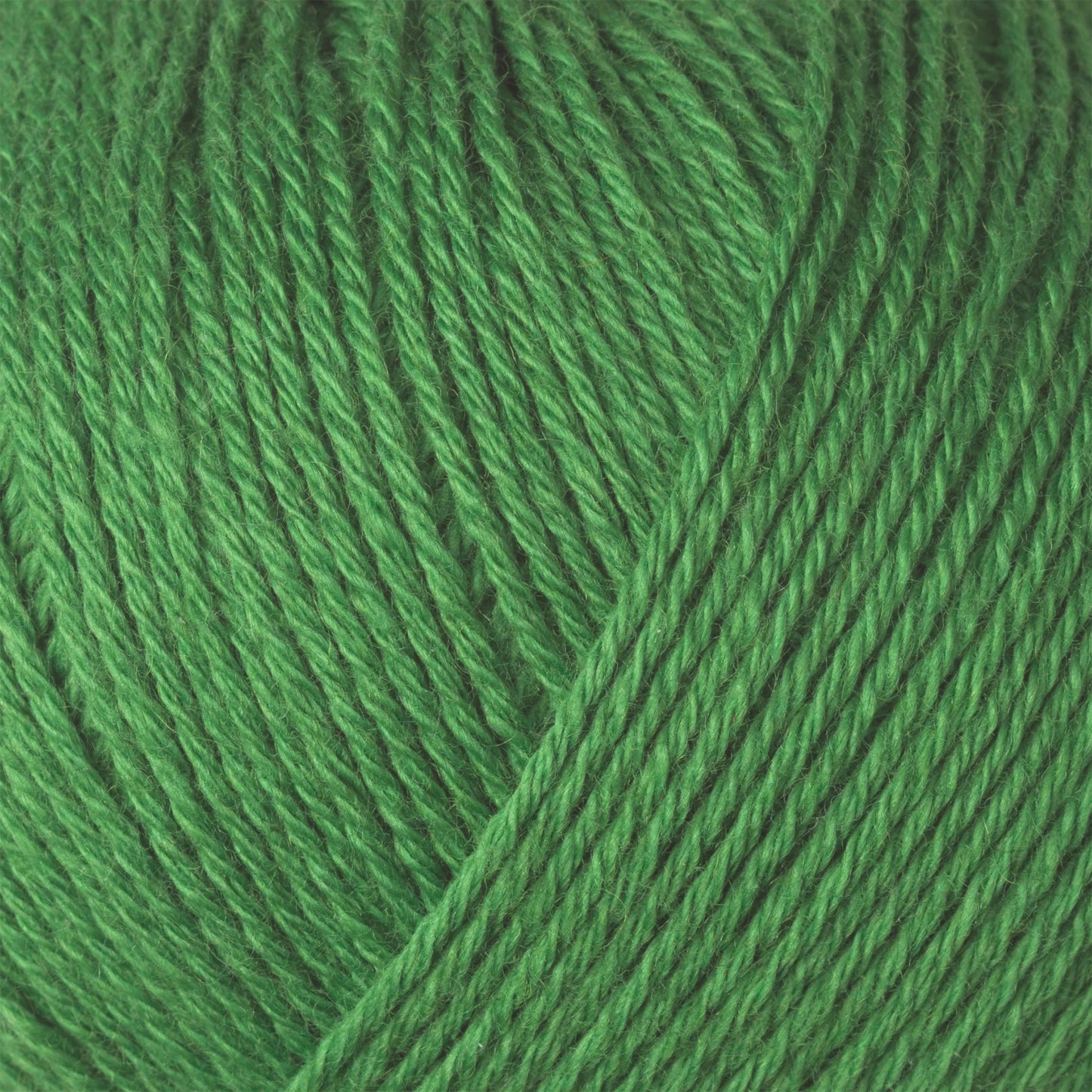 Cotton Merino