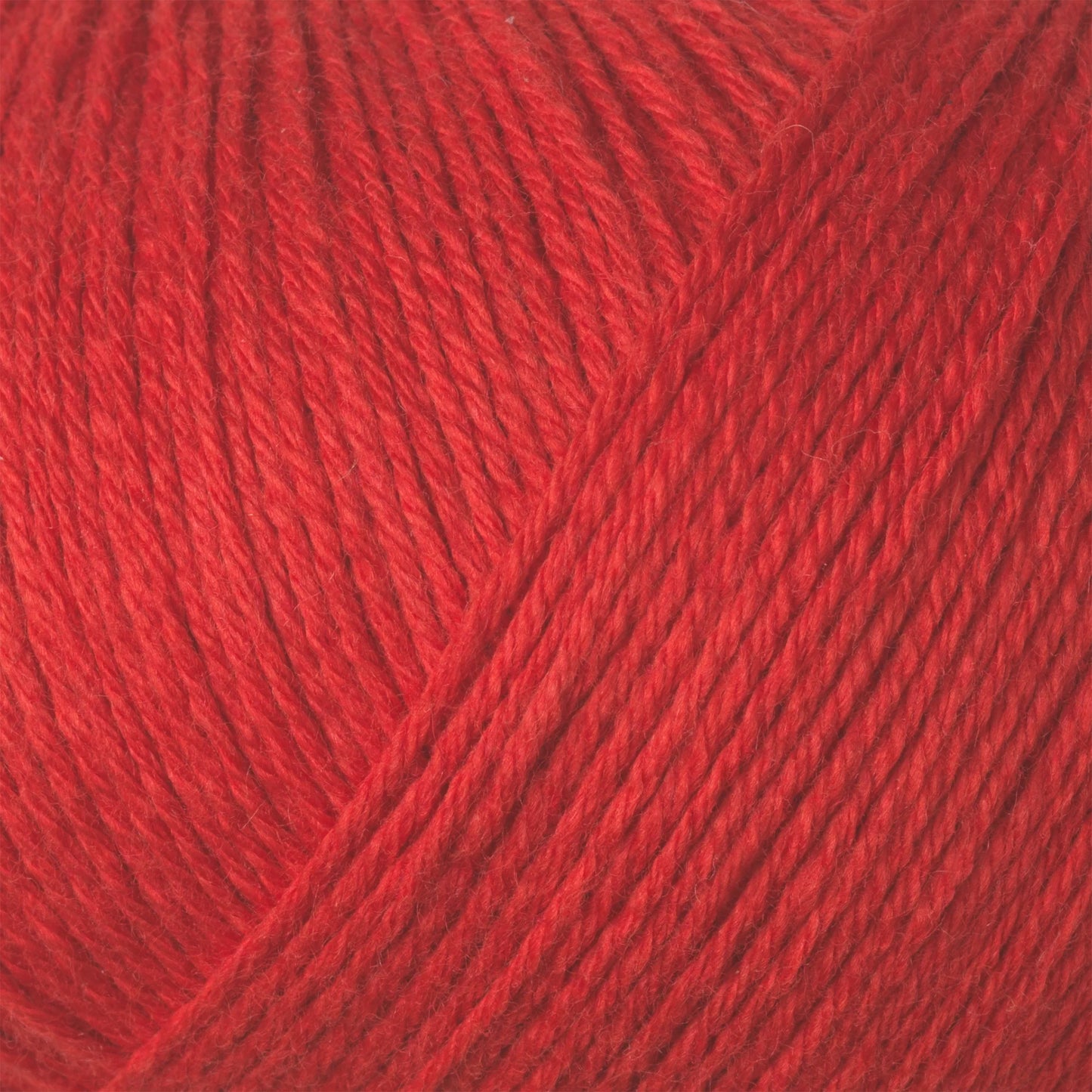 Cotton Merino